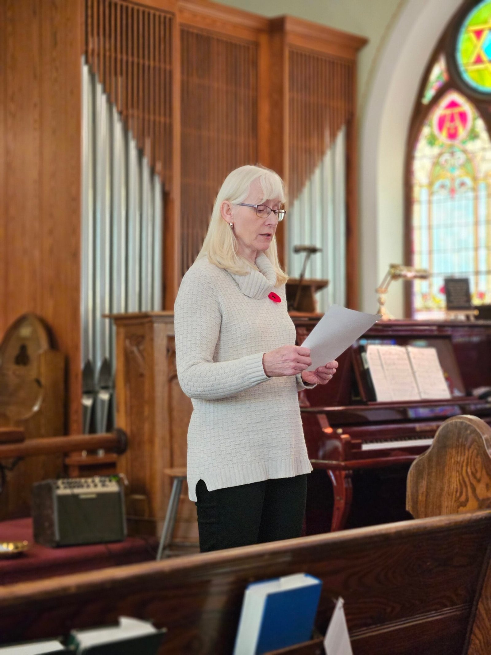 A reading of the poem“In Flanders Field’s (John McCrae)